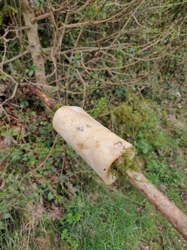 Giftköder-Knochenstück und Teebeutel-Profilbild
