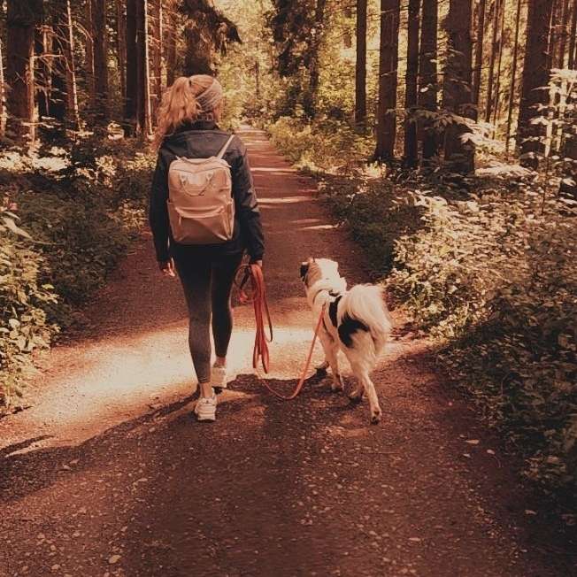 Hundetreffen-Suchen Leute zum Spazieren und spielen, Begegnungen trainieren-Profilbild