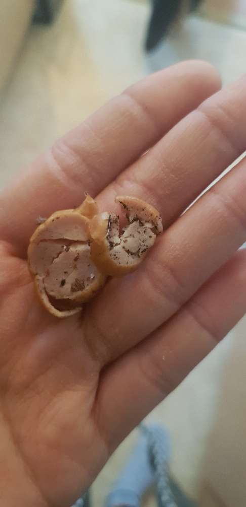 Giftköder-Wienerstückchen am Wegesrand-Profilbild