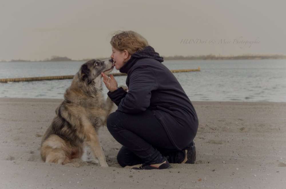 Hundetreffen-Suche Leute zum gassi gehen-Profilbild