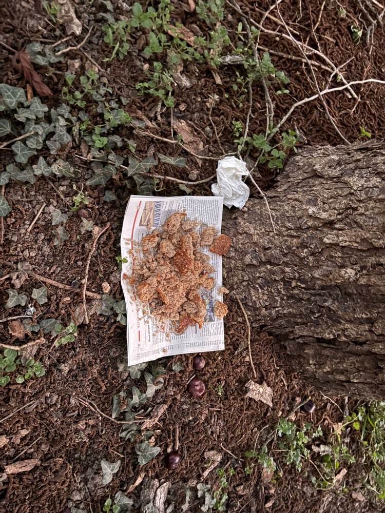 Giftköder-Potenzieller Giftköder-Profilbild