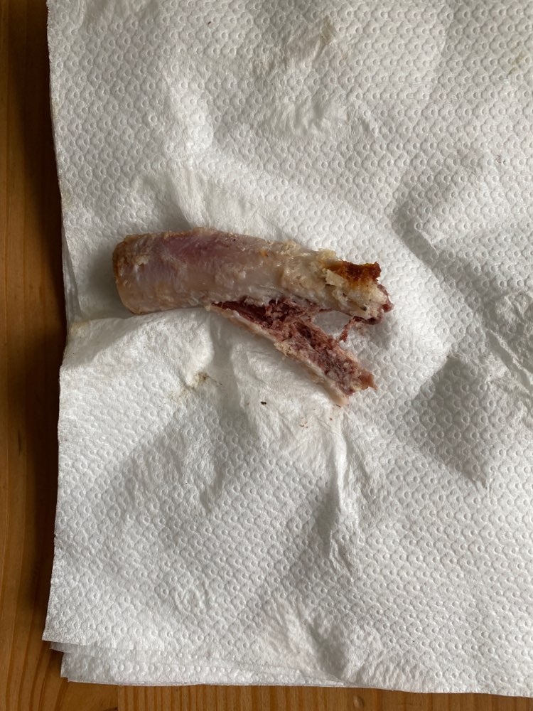 Giftköder-Knochen in Garten geworfen-Profilbild