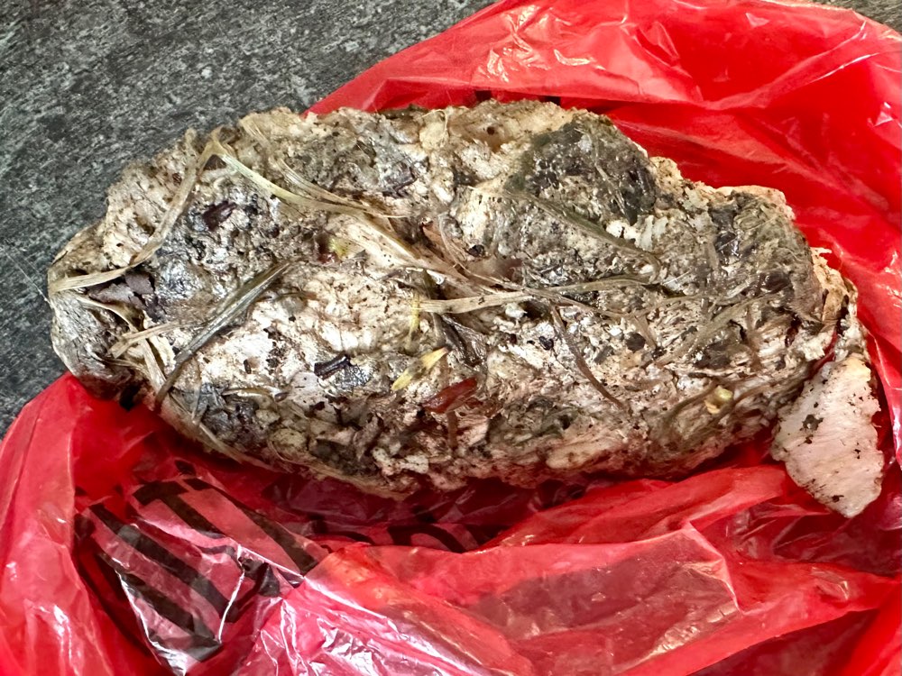 Giftköder-Giftköder mit Rattengift-Profilbild