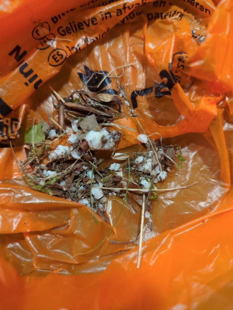 Giftköder-Verdächtige weiße Körner-Profilbild