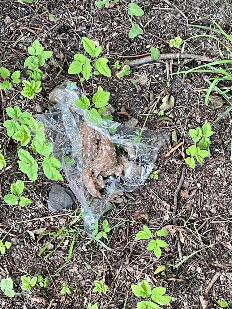 Giftköder-Giftköder-Profilbild