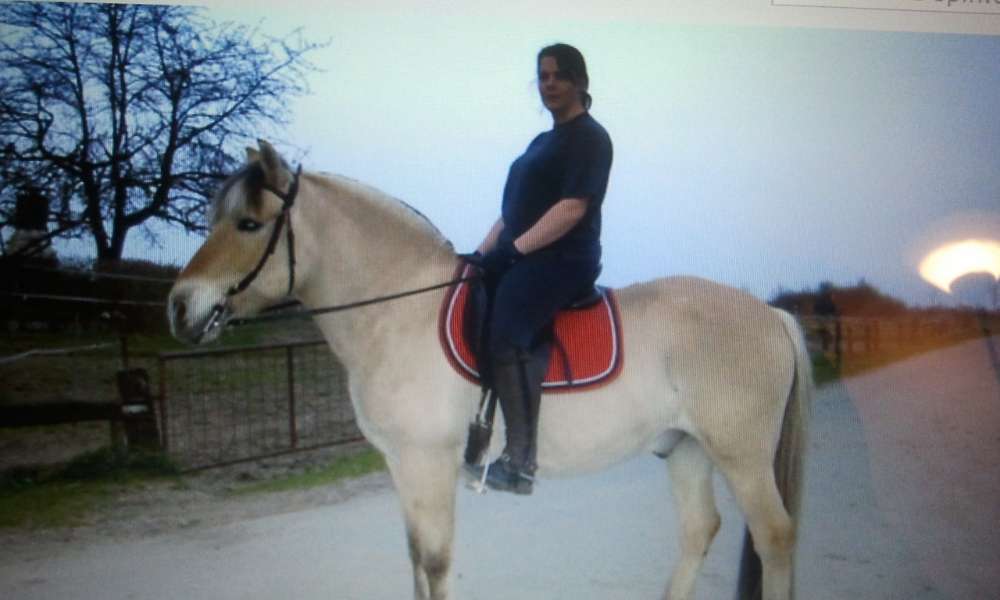 Bahnwaldsee Hengsen, bzw Stausee Hengsen Hundetreffen in Holzwickede