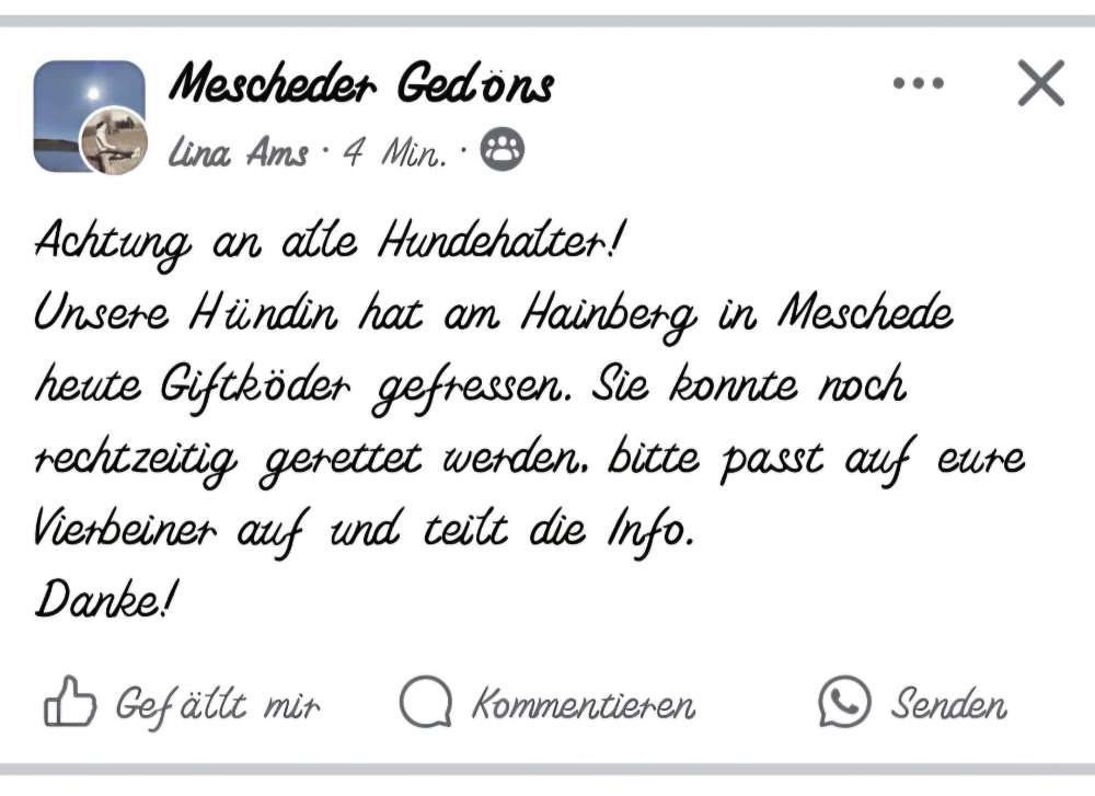 Giftköder-Giftköder-Profilbild