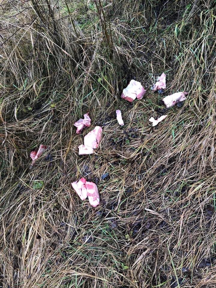 Giftköder-Fleischabfälle-Profilbild