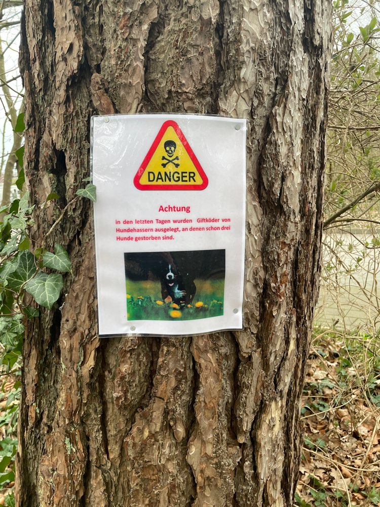 Giftköder-Giftköder im Wernerwald-Profilbild