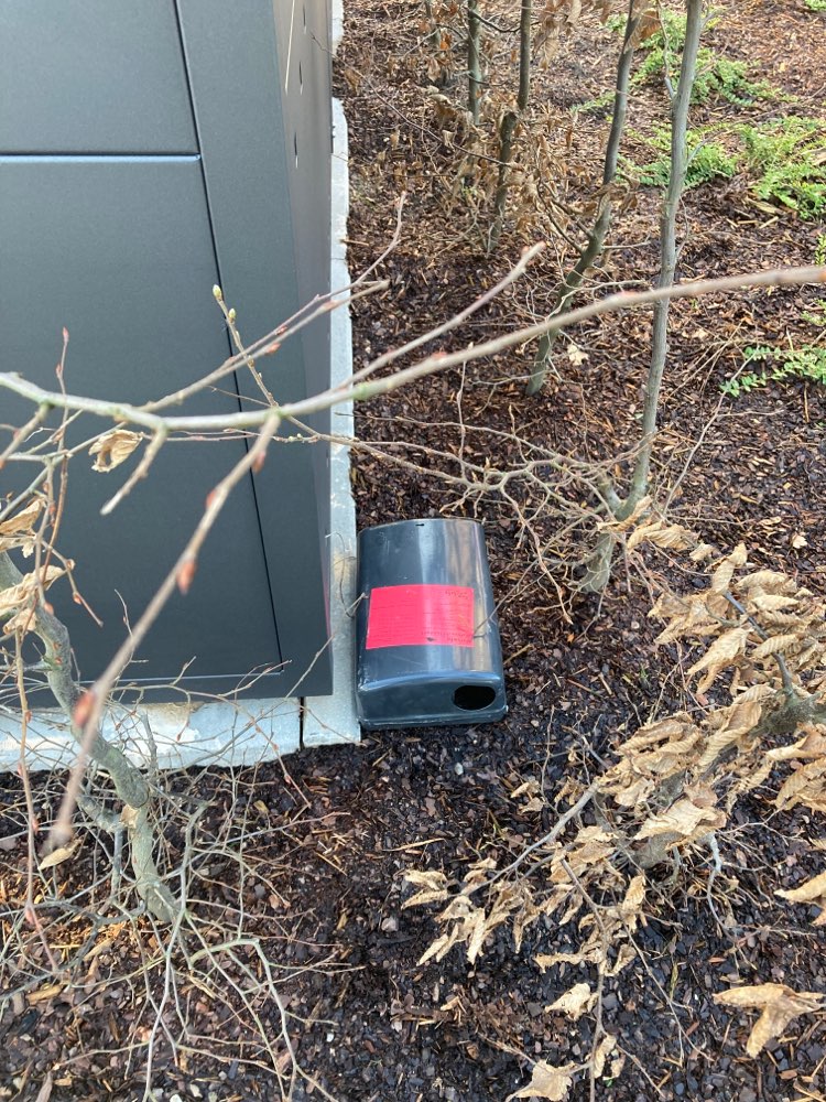 Giftköder-Rattengiftköder-Profilbild