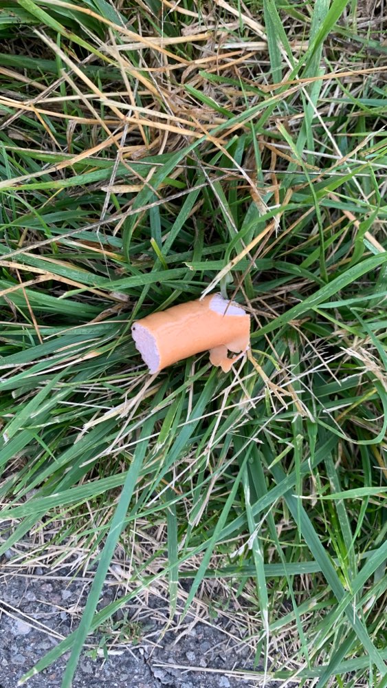 Giftköder-Evtl. Giftköder / Saitenwürstchen-Profilbild