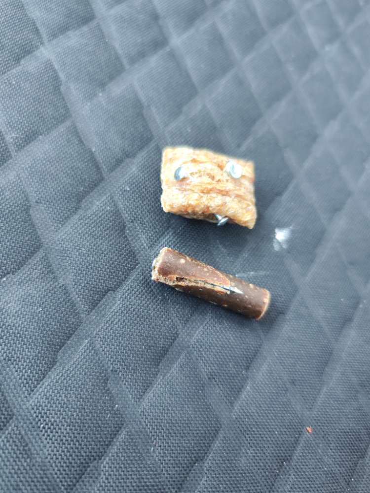 Giftköder-Leckerlis mit Nägeln-Profilbild