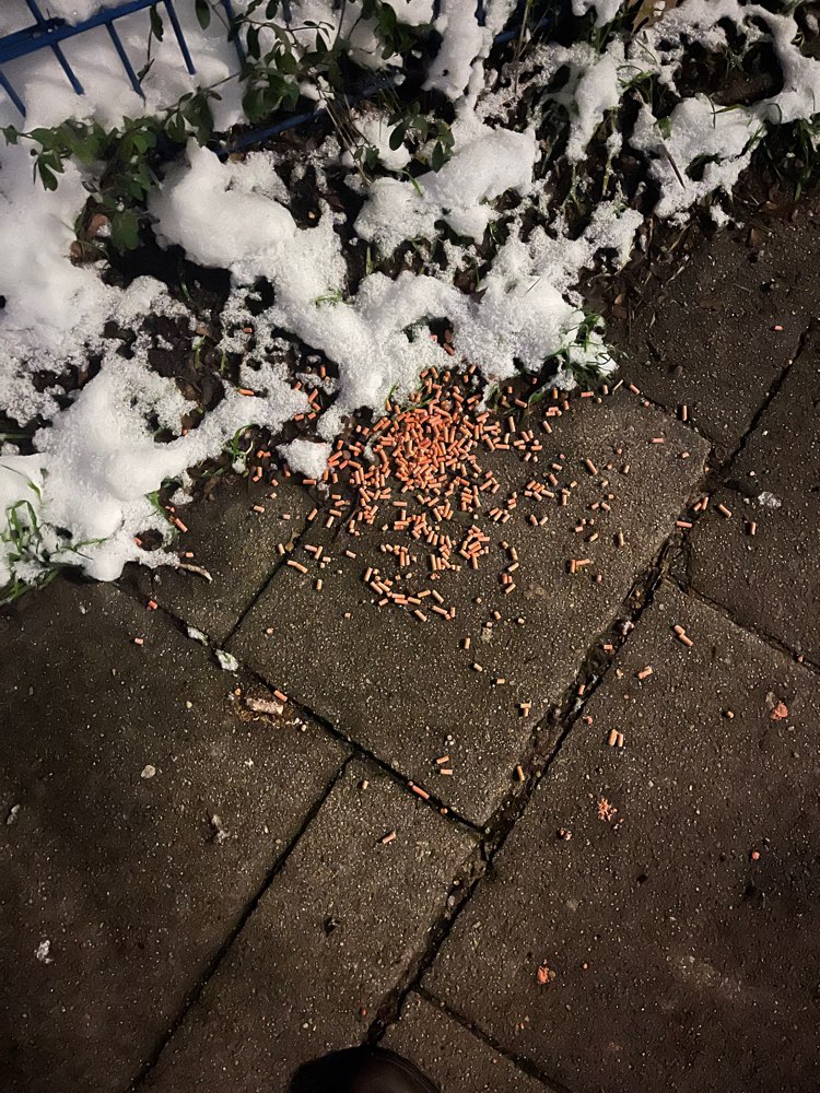 Giftköder-Rattengift??-Profilbild