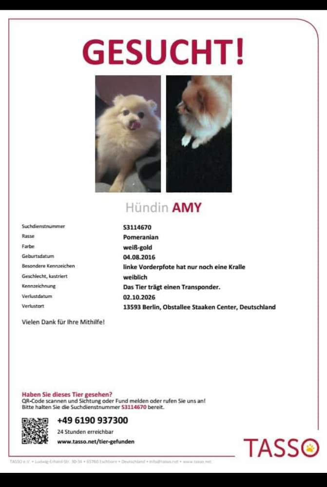 Suchmeldung-Amy-Profilbild
