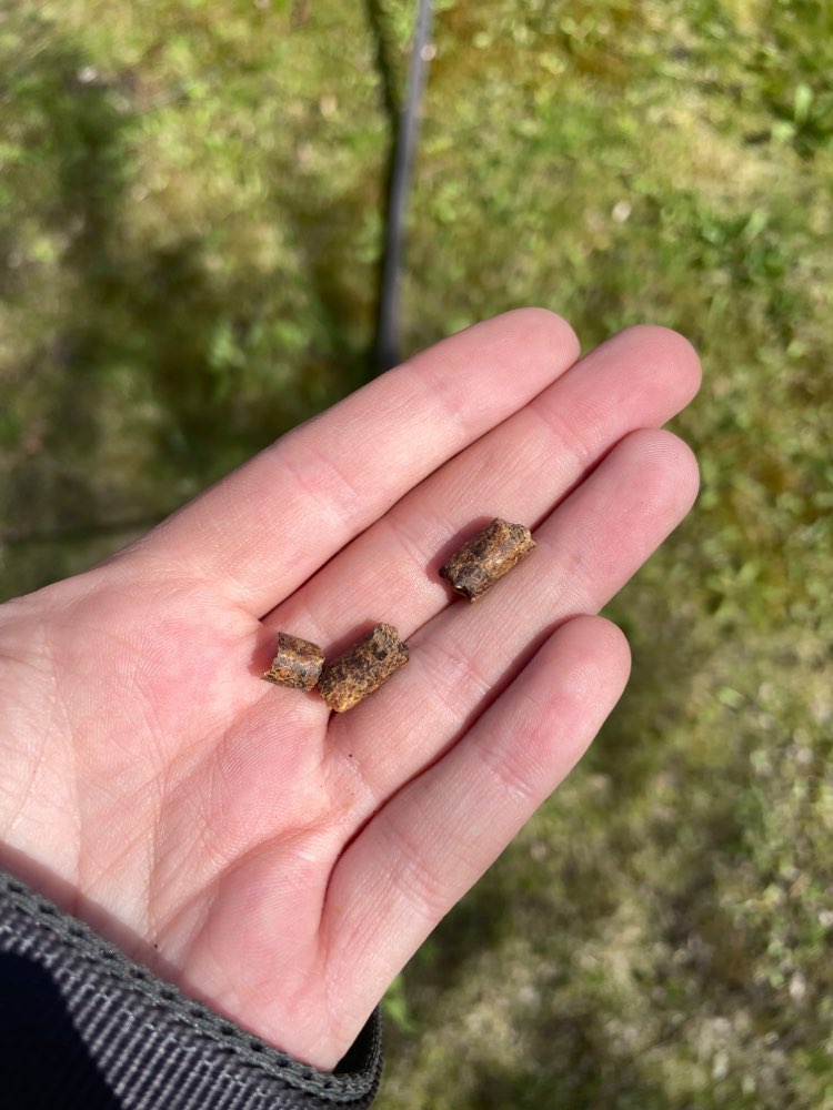 Giftköder-Leckerlis-Profilbild