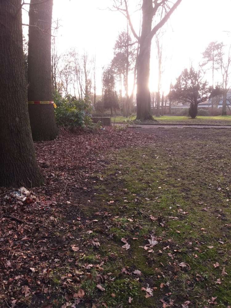 Giftköder-evtl. Giftköder-Profilbild