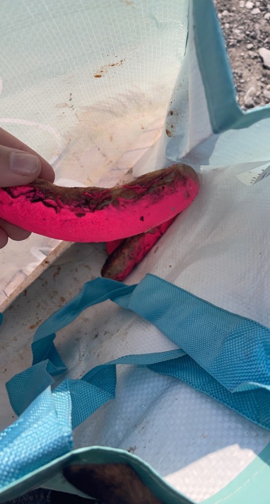 Giftköder-Pink besprühte Würstchen-Profilbild