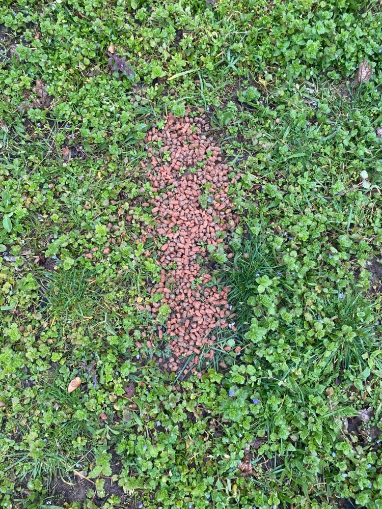 Giftköder-Tierfutter chemisch riechend-Profilbild