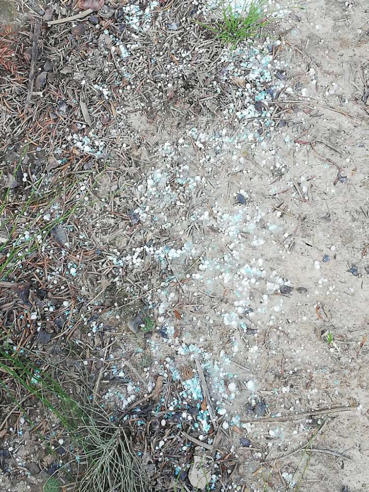 Giftköder-Blaukorndünger-Profilbild