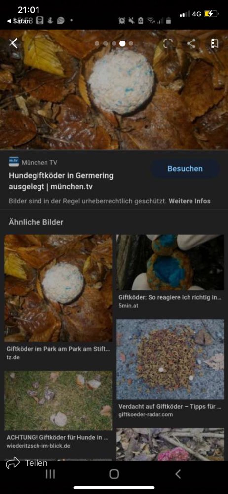Giftköder-Rattengift-Profilbild