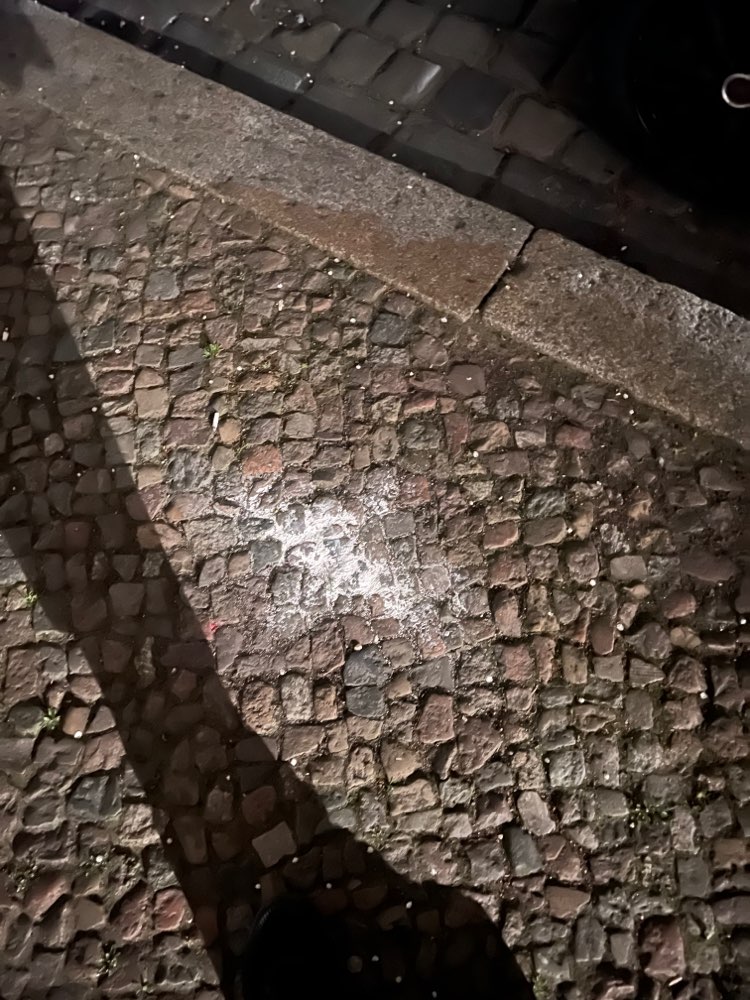 Giftköder-Weißes Pulver auf dem Gehweg-Profilbild