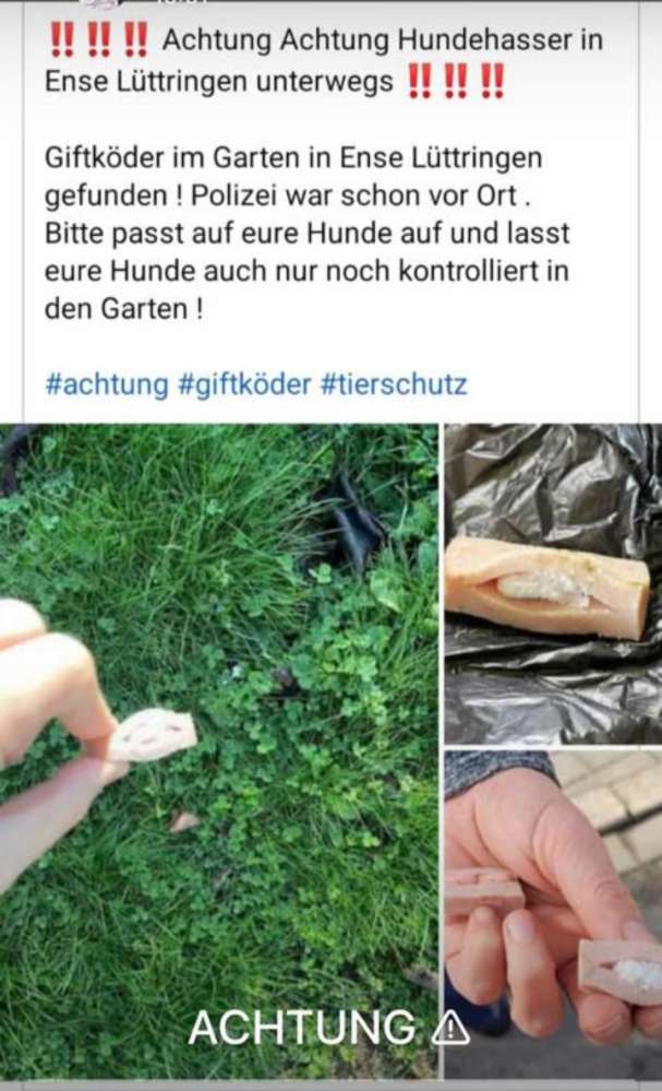 Giftköder-Giftköder in Ense-Lüttringen-Profilbild