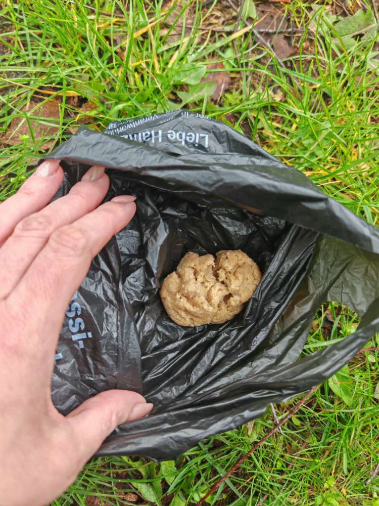 Giftköder-Köder ausgelegt - ACHTUNG LOHBRÜGGE-Profilbild