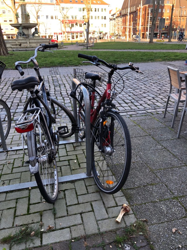 Giftköder-Knochen am Hagenmarkt-Profilbild