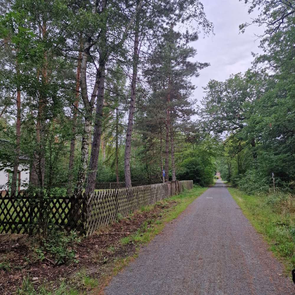 Giftköder-Schwanheimer Wald -Weißes Pulver-Profilbild