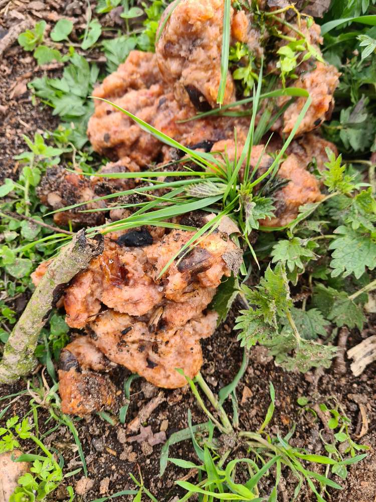 Giftköder-Mettwurst mit Nägeln-Profilbild