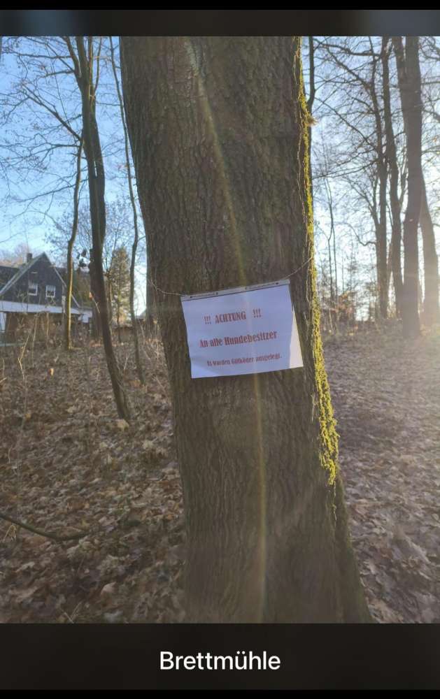 Giftköder-Giftköder-Profilbild