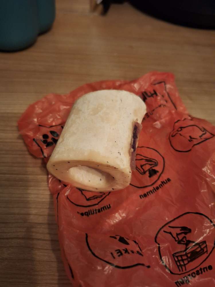 Giftköder-Knochen mit vergifteter Leberwurst-Profilbild