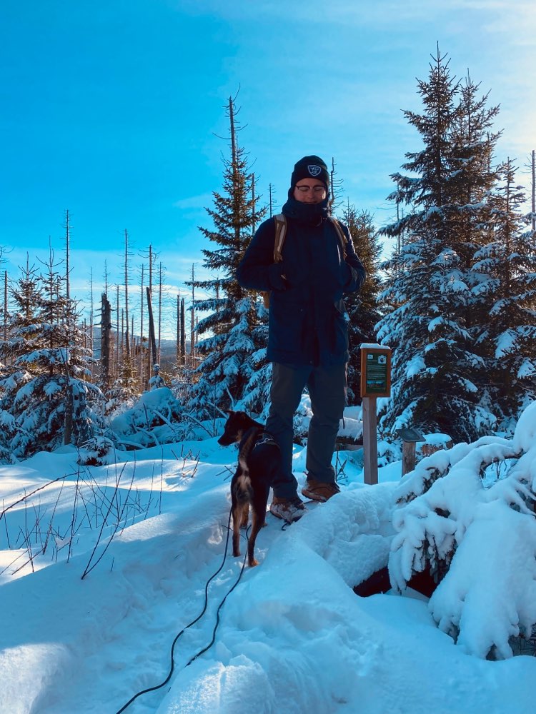 Hundetreffen-Gassi-, Trainings- und Spieltreff-Profilbild