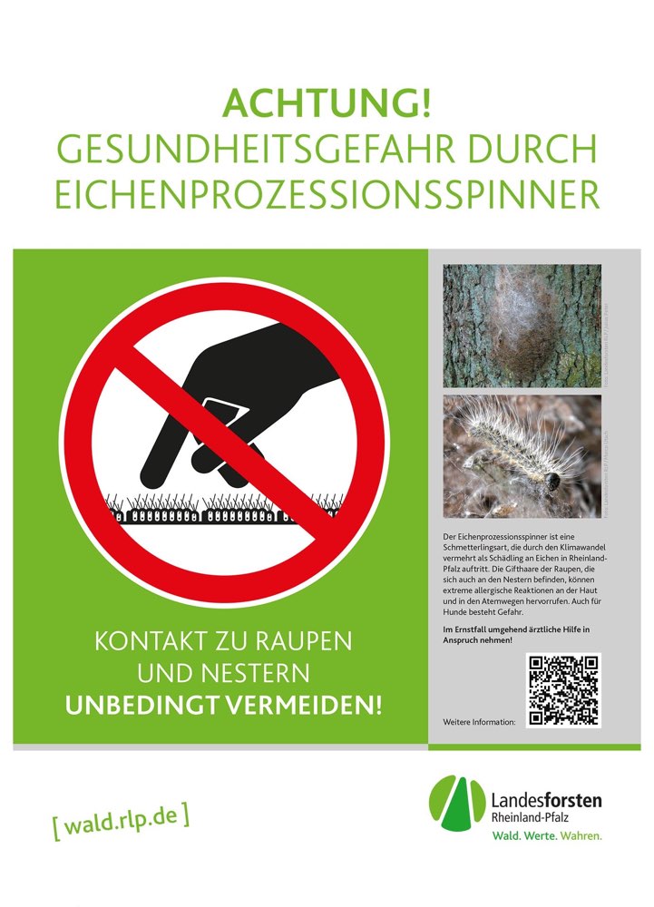 Giftköder-Eichenprozessionsspinner-Profilbild