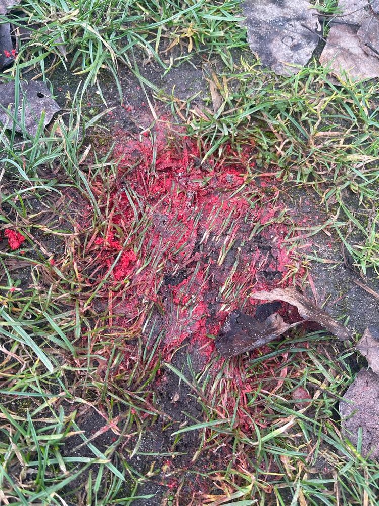 Giftköder-Rattengift-Profilbild