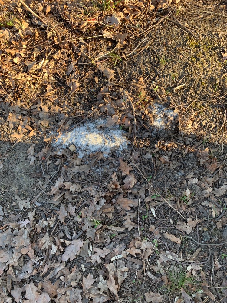 Giftköder-Weißes Pulver verstreut-Profilbild