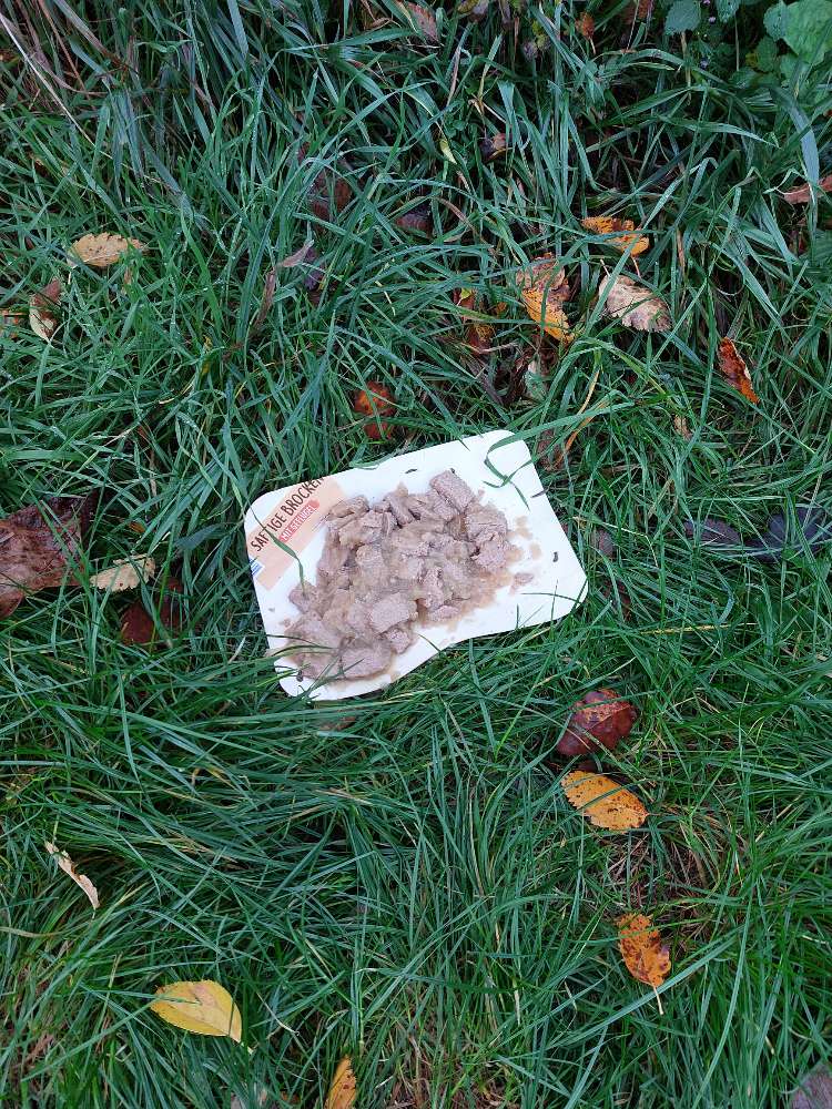 Giftköder-Evtl.Giftköder-Profilbild