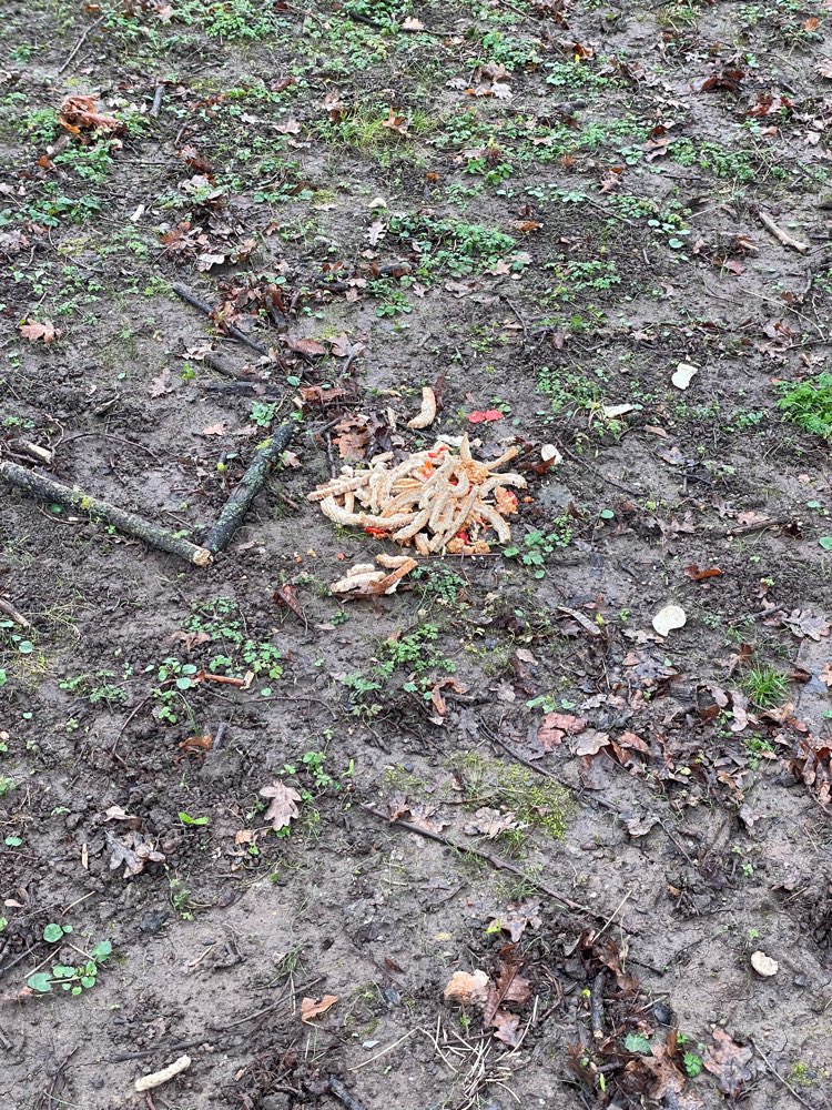 Giftköder-Brotrinden, darunter Spaghetti Bolognese-Profilbild