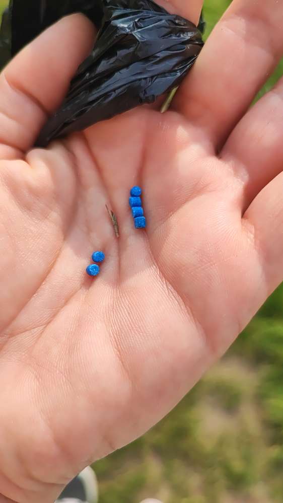 Giftköder-Scheinbar Rattengift-Profilbild