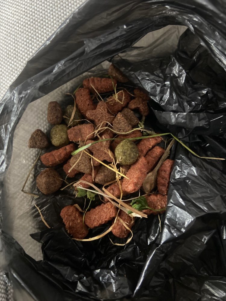 Giftköder-Evntl Giftköder!!!-Profilbild