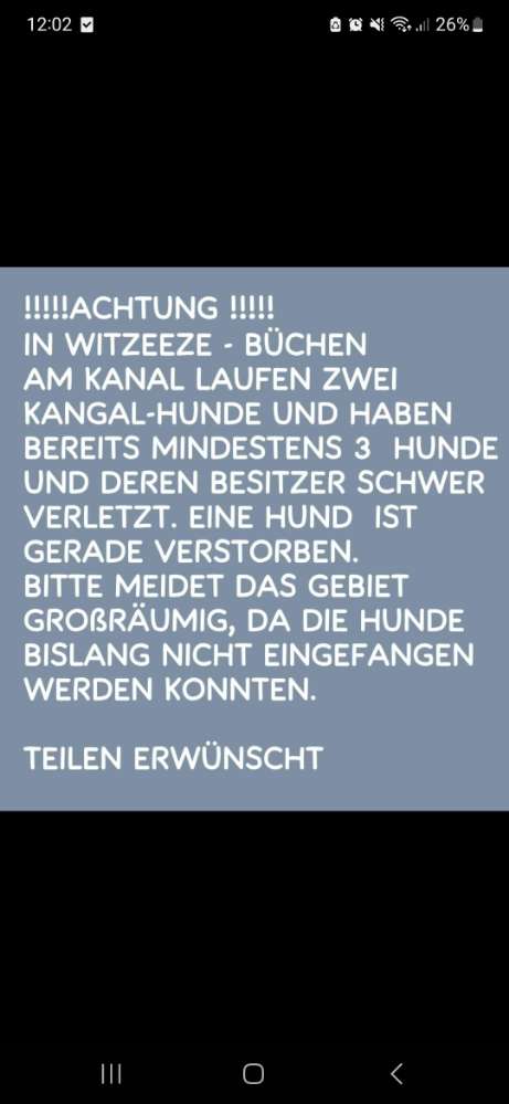 Giftköder-Freilaufende Hunde-Profilbild