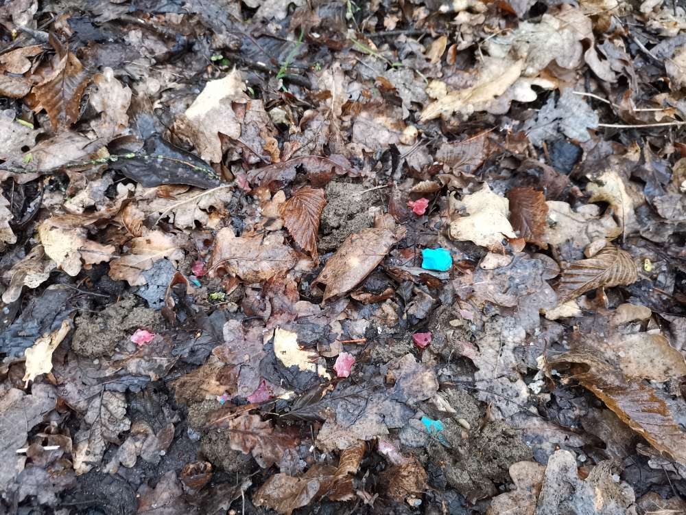 Giftköder-Rattengift-Profilbild