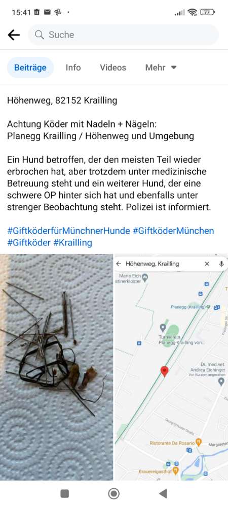 Giftköder-Köder mit Nadeln und Nägeln-Profilbild