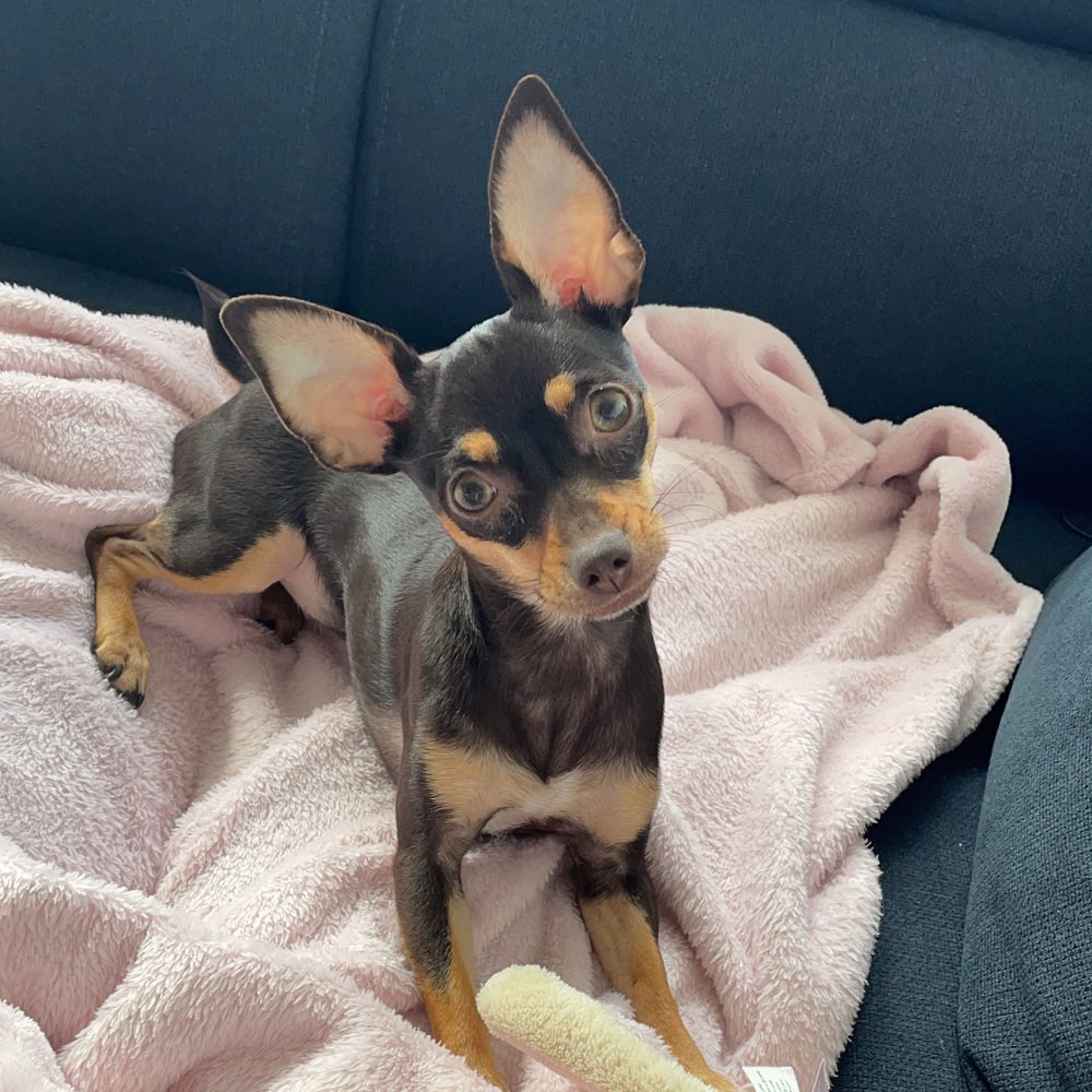 Suchmeldung-Amy-Profilbild