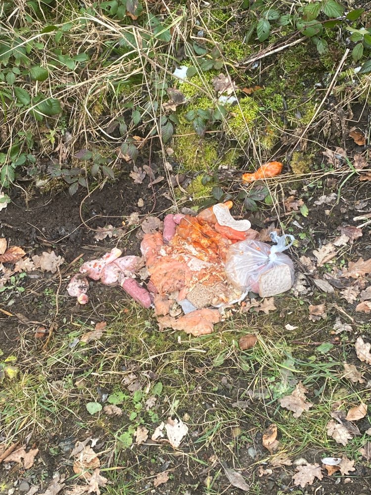 Giftköder-Fleisch und Fisch-Profilbild