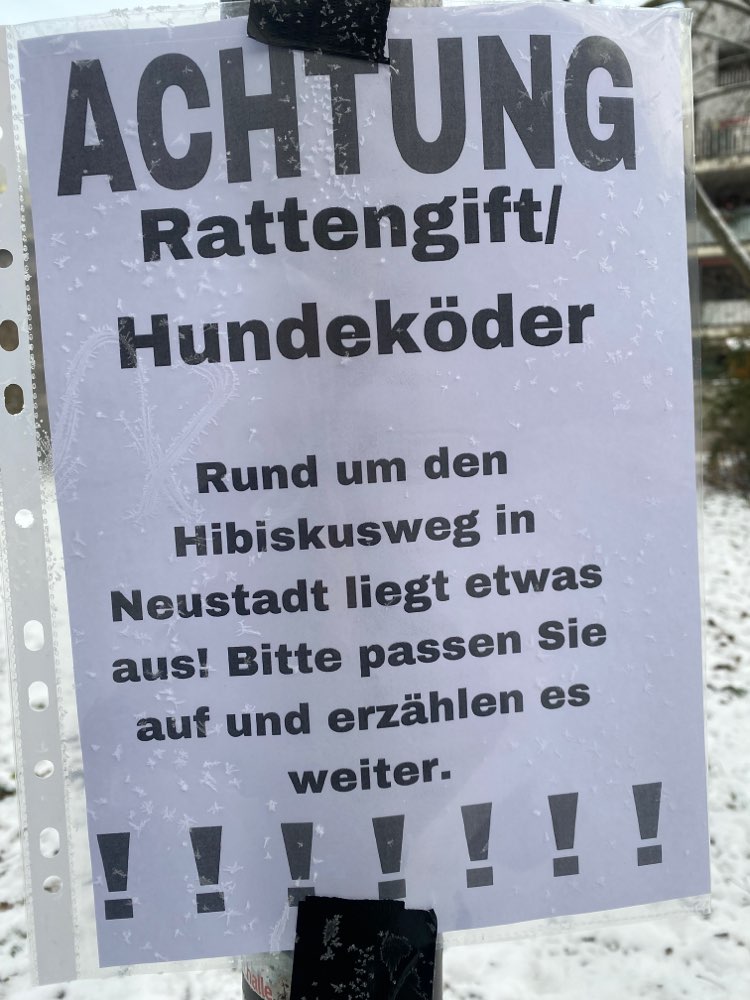 Giftköder-Giftköder-Profilbild