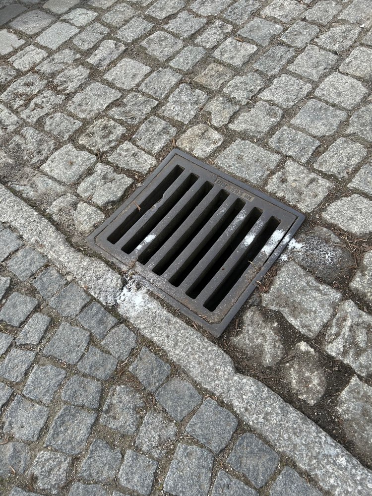 Giftköder-Rattengift-Profilbild