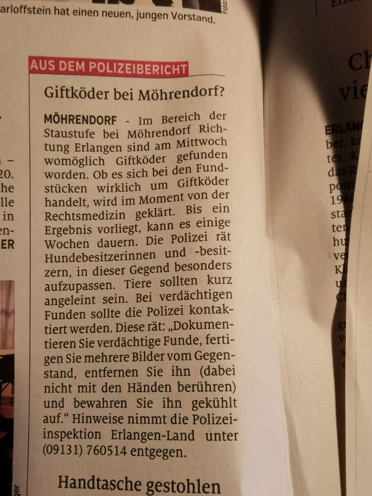 Giftköder-abgebrochener Hühnerknochen-Profilbild