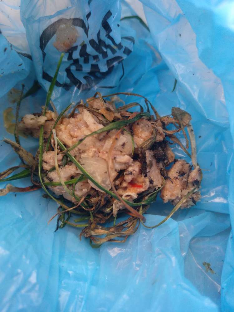 Giftköder-Fleischstücke in Wiese-Profilbild