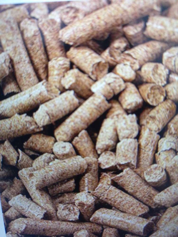 Giftköder-Viele 'Pellets' im Gras auf Hundewiese-Profilbild